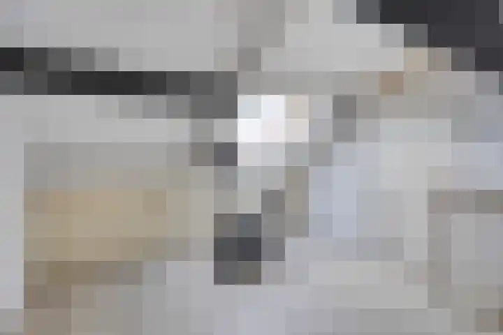 Faunasingel 29 Roermond thumbnail 26