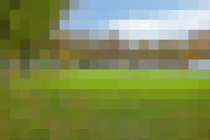 Faunasingel 29 Roermond thumbnail 37