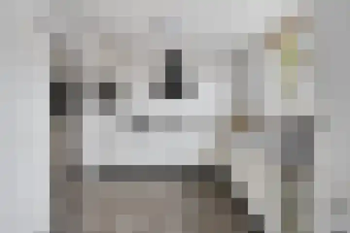Faunasingel 29 Roermond thumbnail 4
