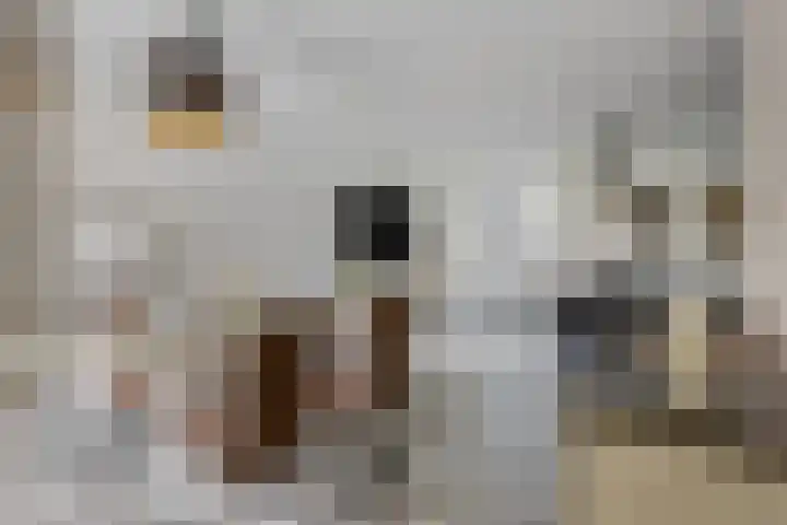 Faunasingel 29 Roermond thumbnail 8
