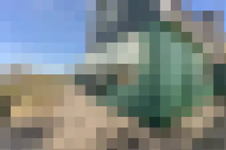 Faunastraat 2 Wormer thumbnail 26