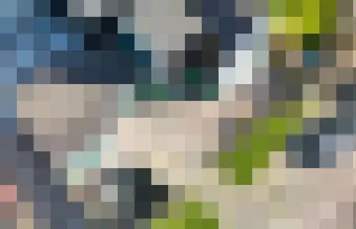 Faunastraat 2 Wormer thumbnail 34