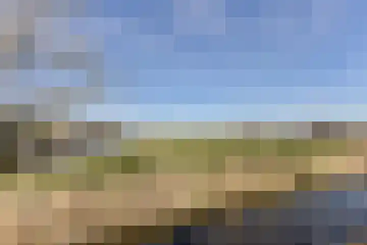 Faunastraat 2 Wormer thumbnail 4