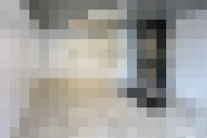 Faustdreef 25 Utrecht thumbnail 7