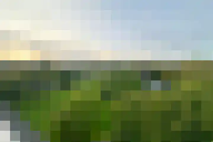 Faustdreef 319 Utrecht thumbnail 10