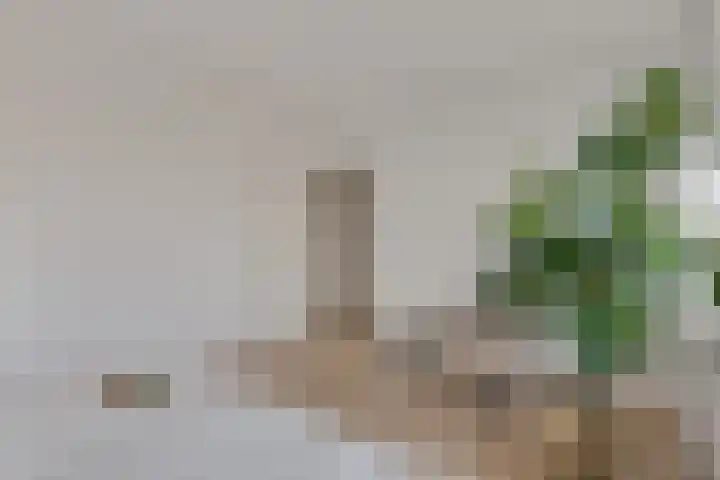 Faustdreef 319 Utrecht thumbnail 17