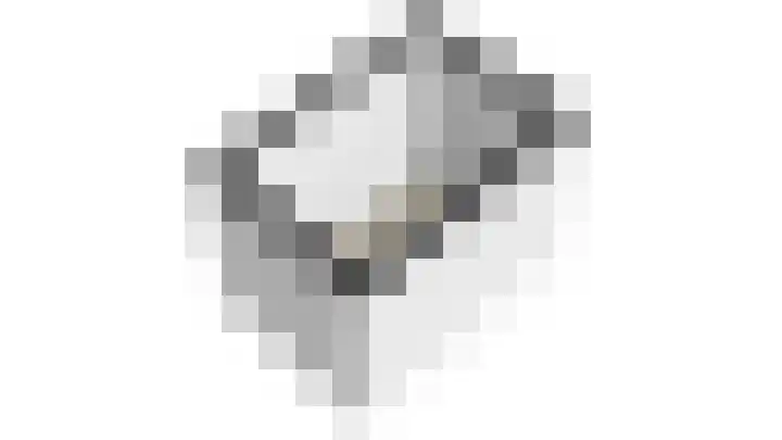Faustdreef 319 Utrecht thumbnail 30