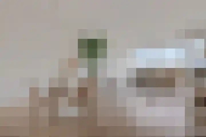 Faustdreef 319 Utrecht thumbnail 5