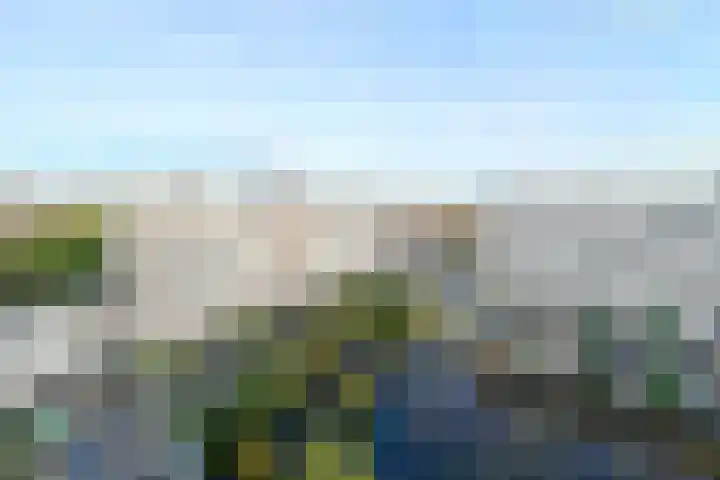 Faustdreef 319 Utrecht thumbnail 7