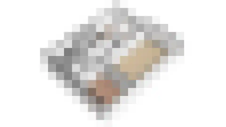 Faustdreef 417 Utrecht thumbnail 16