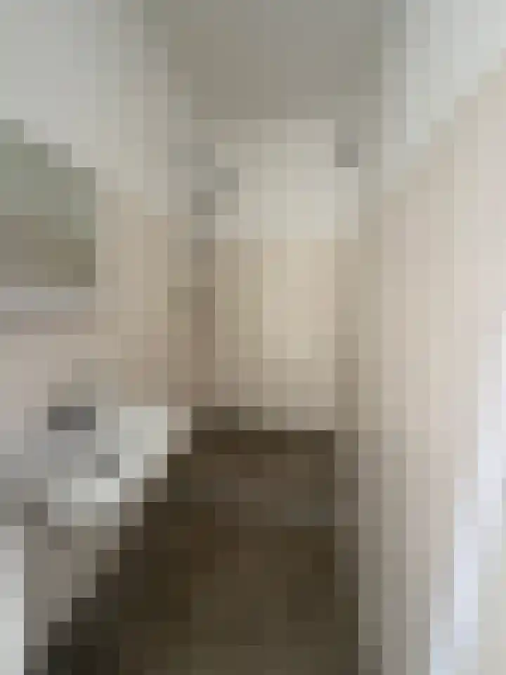 Faustdreef 93 Utrecht thumbnail 12