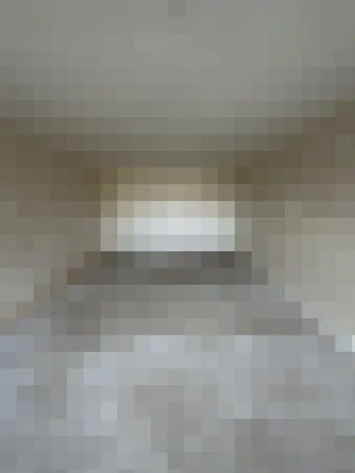 Faustdreef 93 Utrecht thumbnail 8