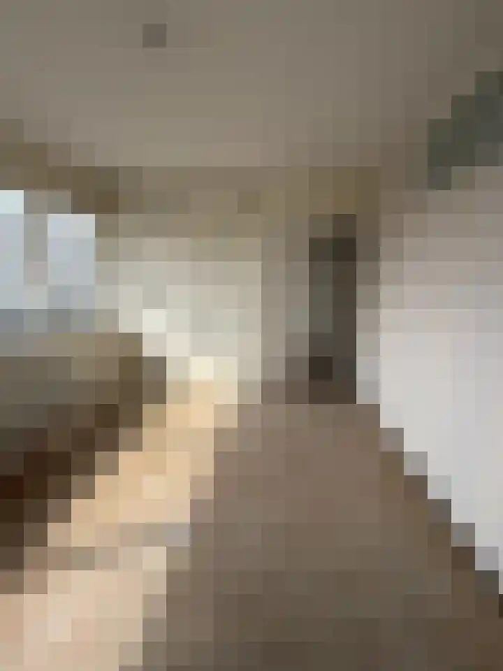 Faustdreef 93 Utrecht thumbnail 9
