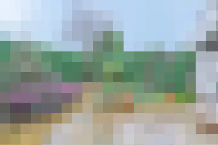 Faustpad 24 Amersfoort thumbnail 27