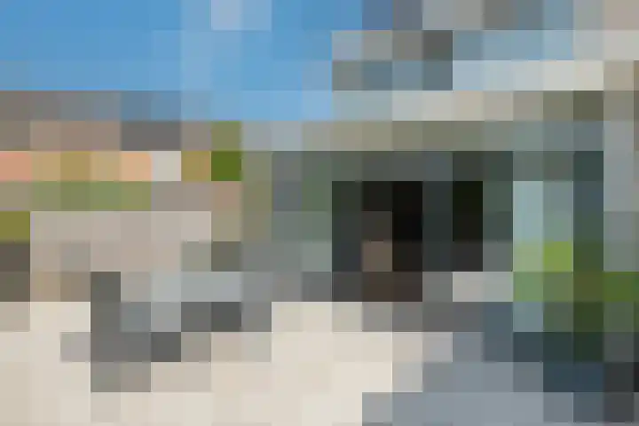 Fazant 142 Ridderkerk thumbnail 10