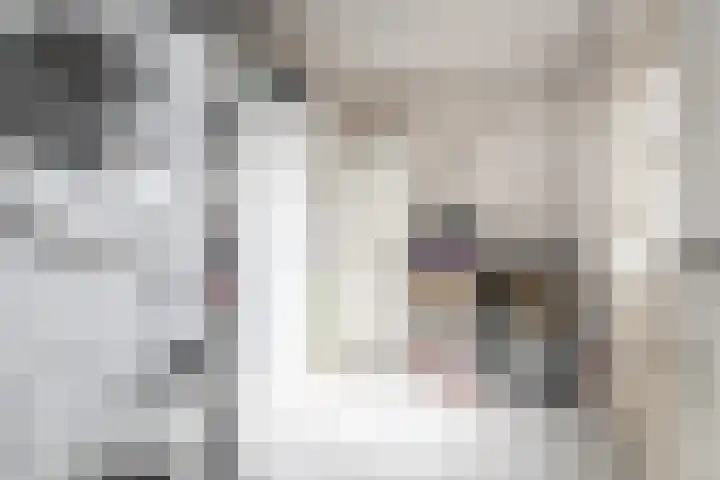 Fazant 142 Ridderkerk thumbnail 11