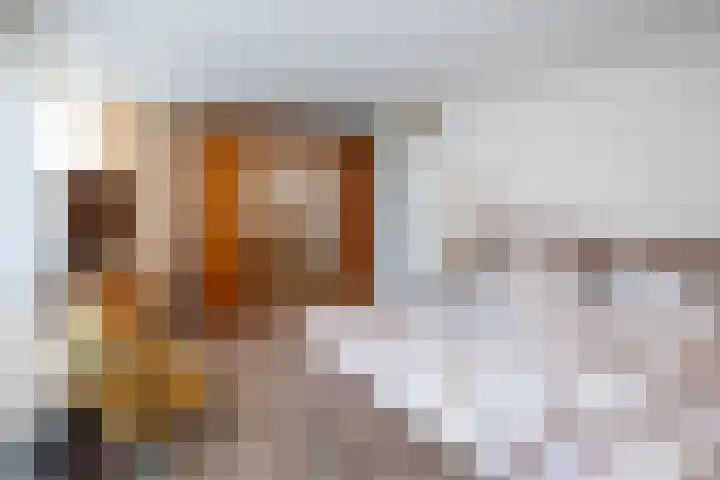 Fazant 142 Ridderkerk thumbnail 14