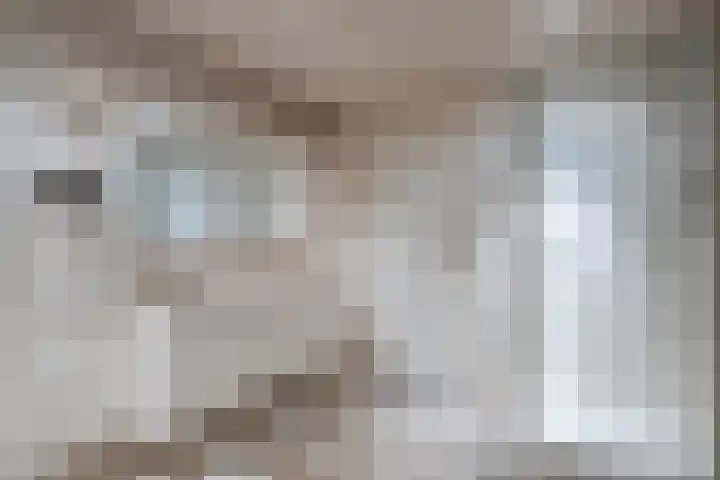 Fazant 142 Ridderkerk thumbnail 16