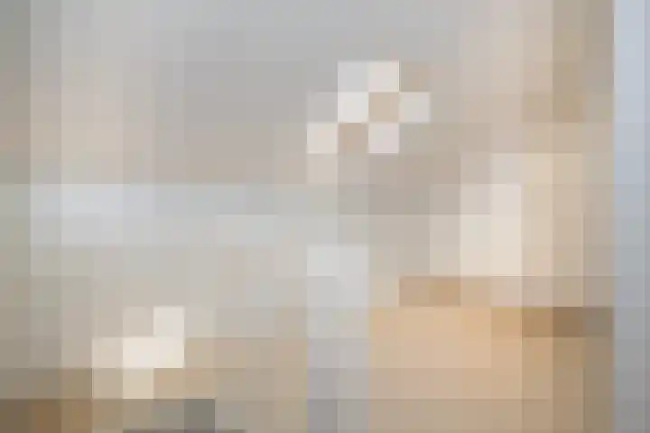 Fazant 142 Ridderkerk thumbnail 20