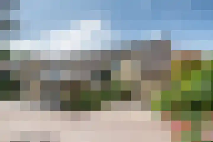 Fazant 142 Ridderkerk thumbnail 23