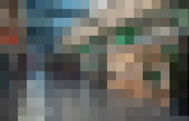 Fazant 142 Ridderkerk thumbnail 29