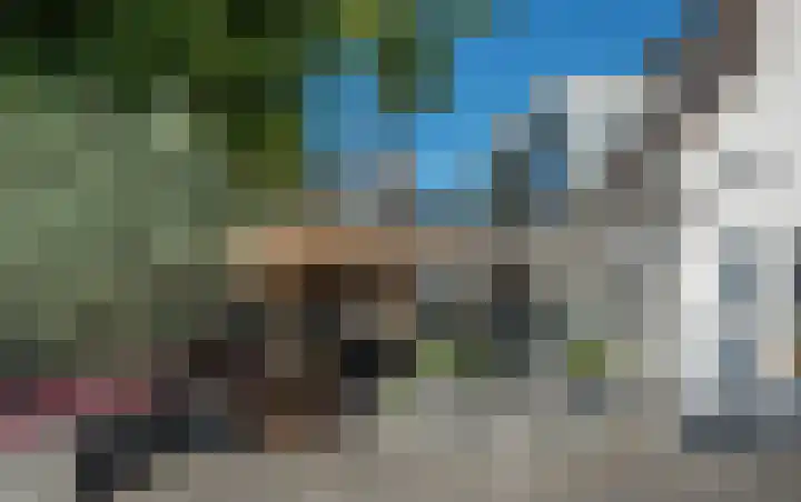 Fazant 142 Ridderkerk thumbnail 31