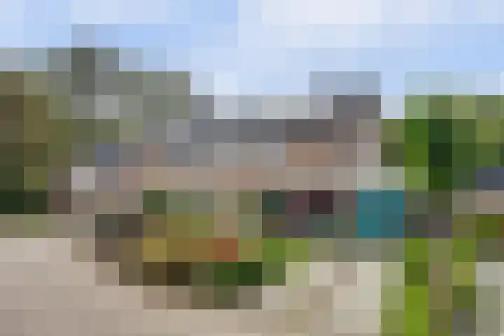 Fazant 25 Maasdam