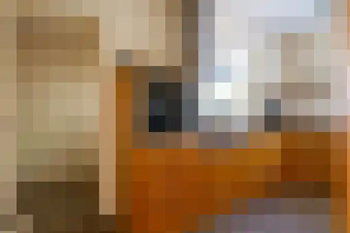 Fazant 35 Sprang-Capelle thumbnail 21