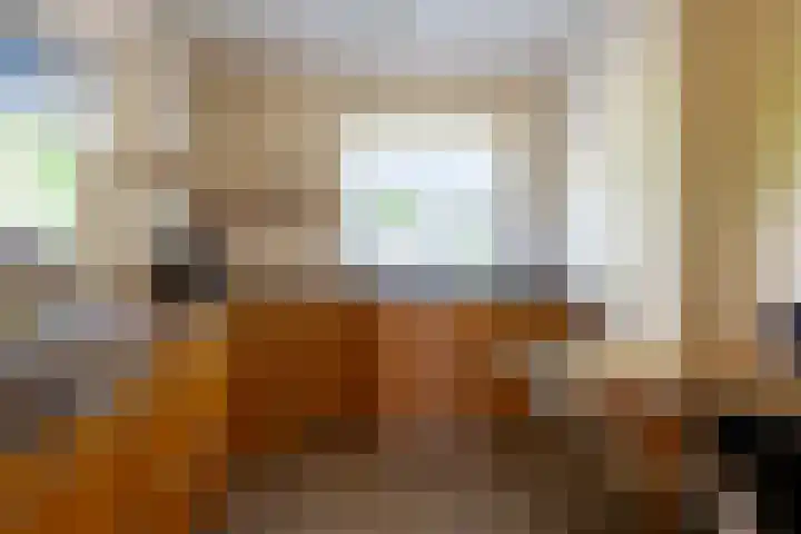 Fazant 35 Sprang-Capelle thumbnail 22