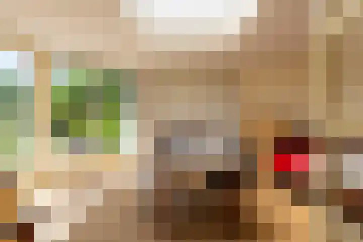 Fazant 35 Sprang-Capelle thumbnail 25