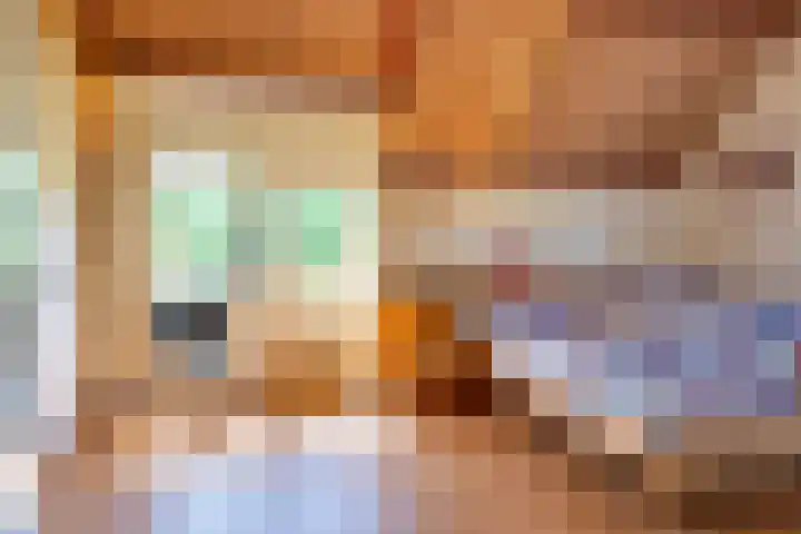 Fazant 35 Sprang-Capelle thumbnail 29