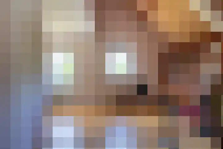 Fazant 35 Sprang-Capelle thumbnail 34