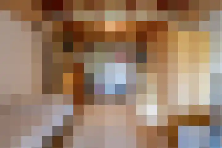 Fazant 35 Sprang-Capelle thumbnail 44