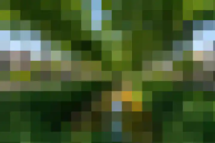 Fazant 35 Sprang-Capelle thumbnail 8