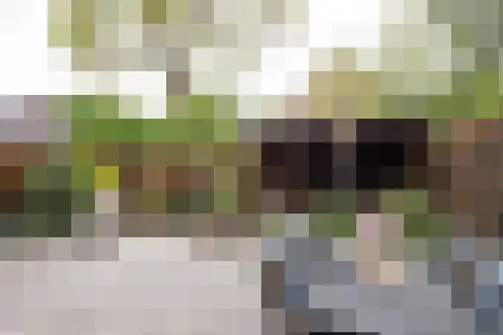 Fazant 68 Ridderkerk thumbnail 12