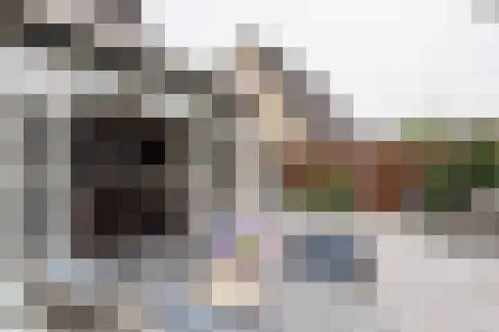 Fazant 68 Ridderkerk thumbnail 14
