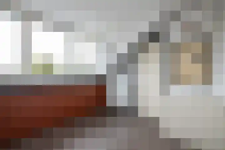 Fazant 68 Ridderkerk thumbnail 25