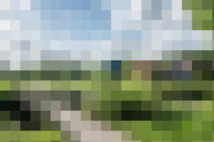 Fazant 68 Ridderkerk thumbnail 31