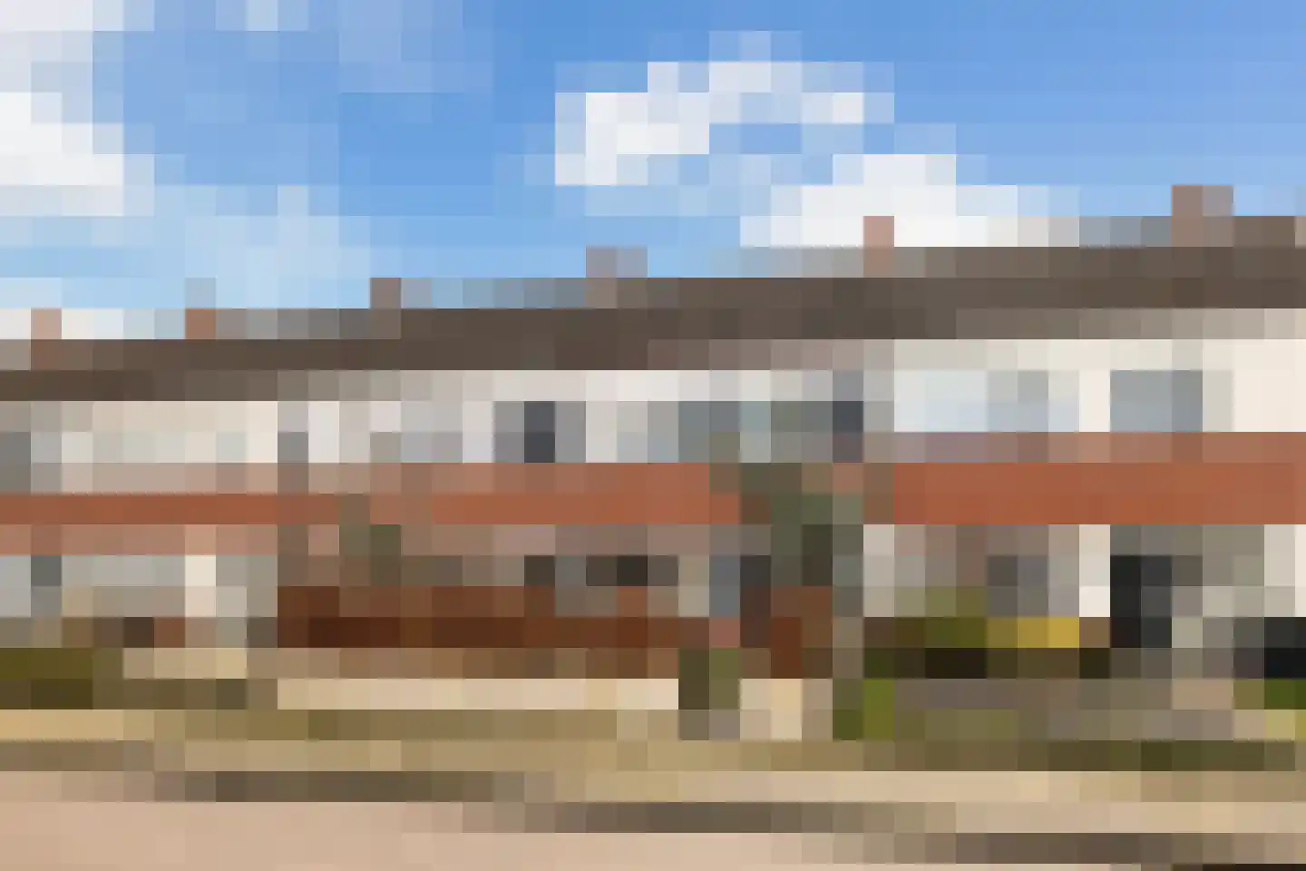 Fazant 8 Dokkum thumbnail 10