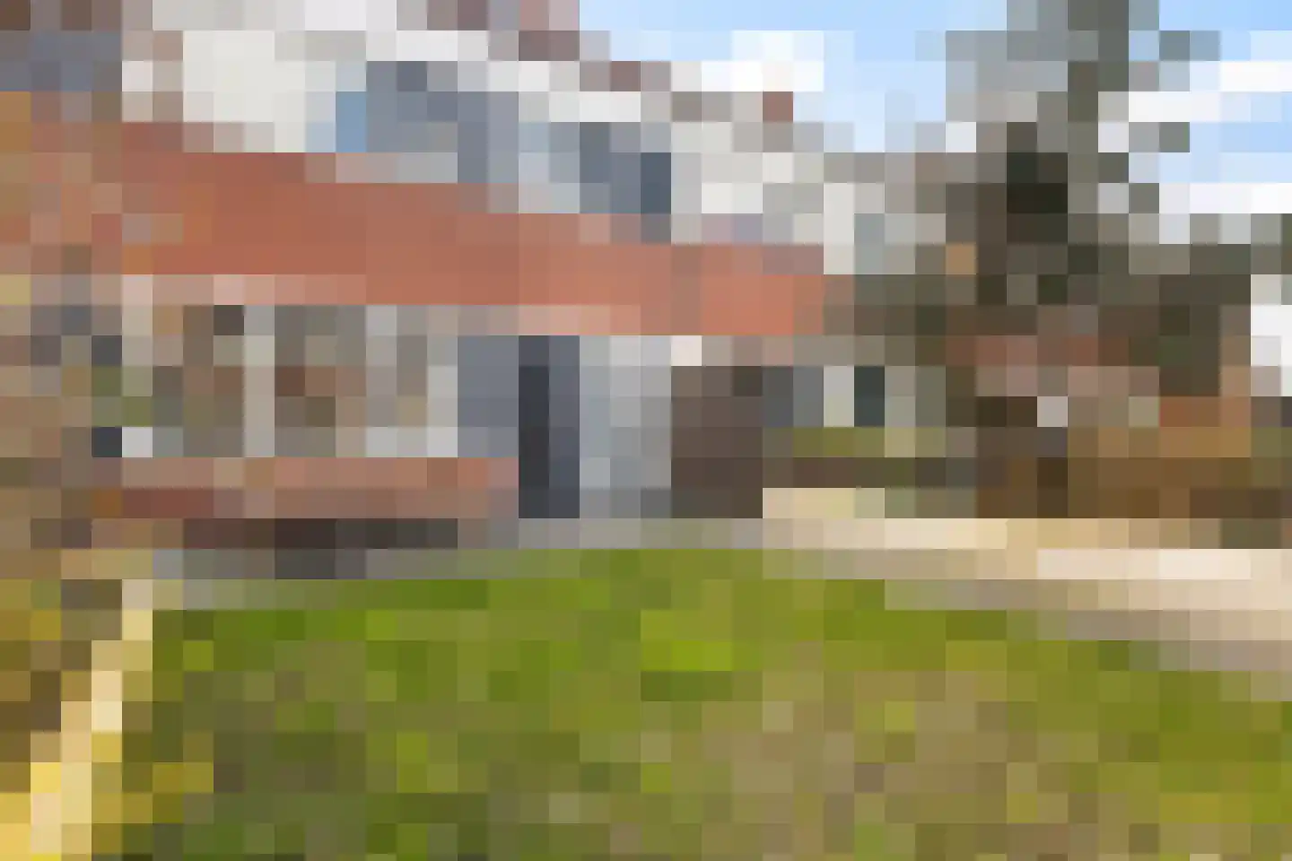 Fazant 8 Dokkum thumbnail 11