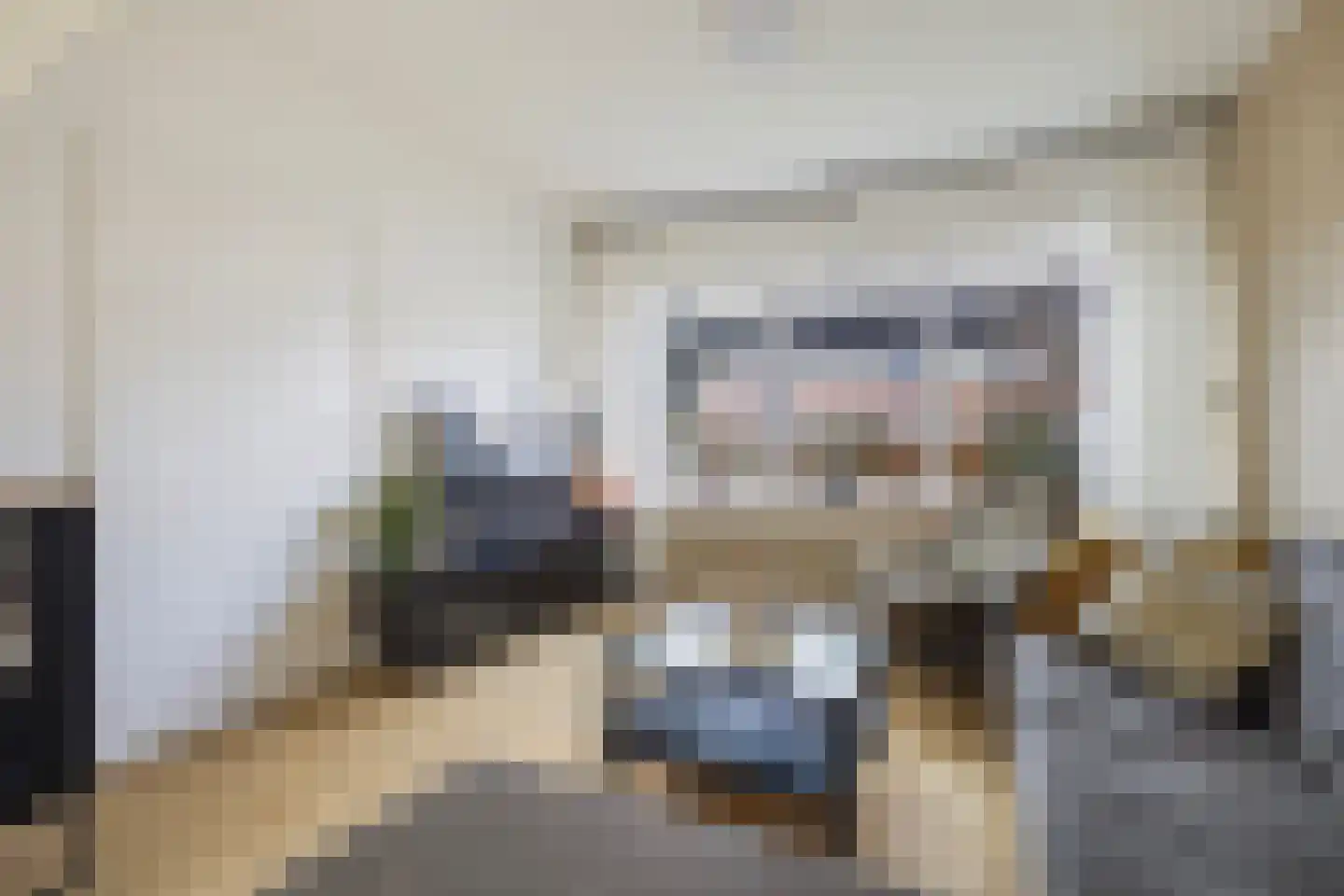 Fazant 8 Dokkum thumbnail 17