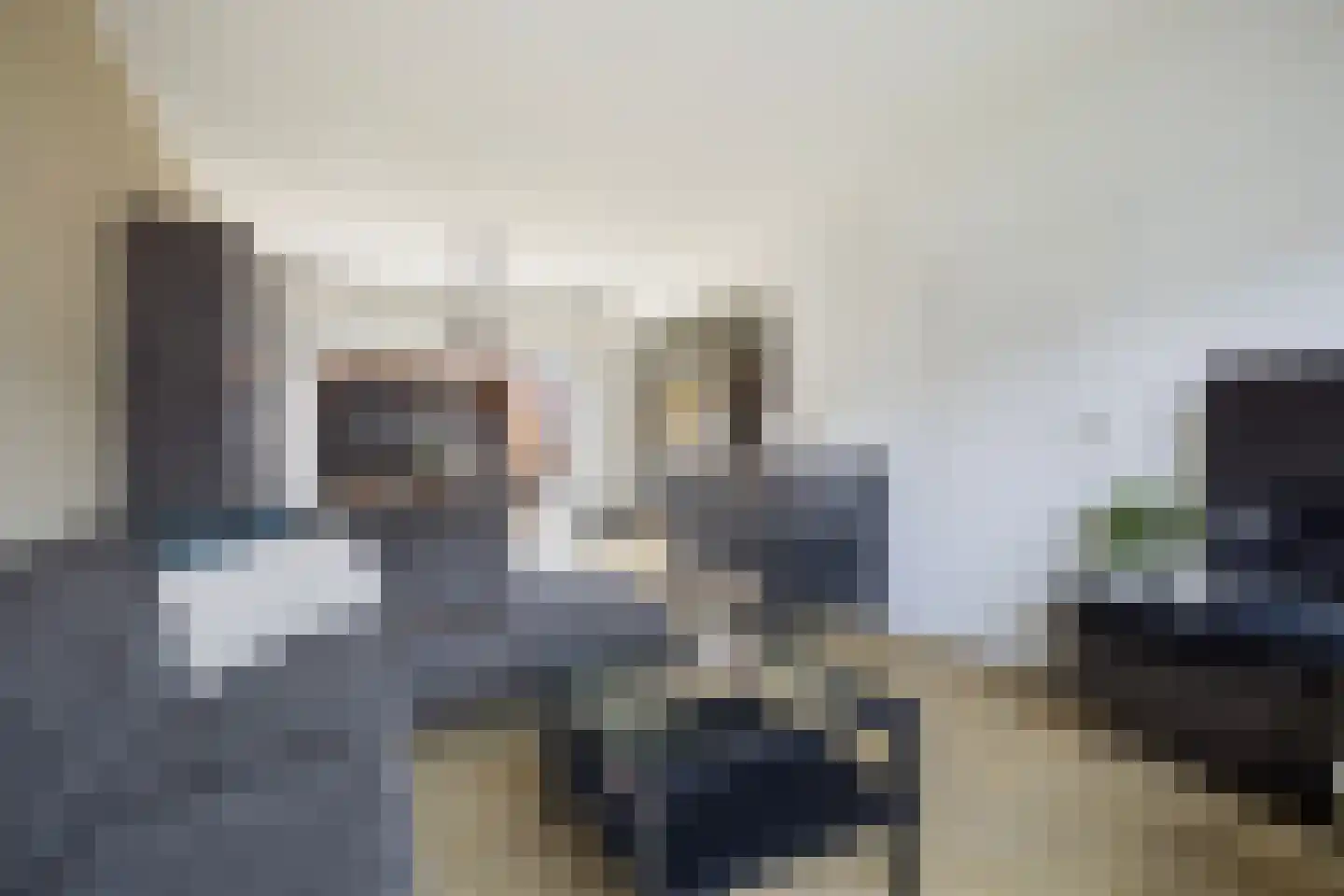 Fazant 8 Dokkum thumbnail 20