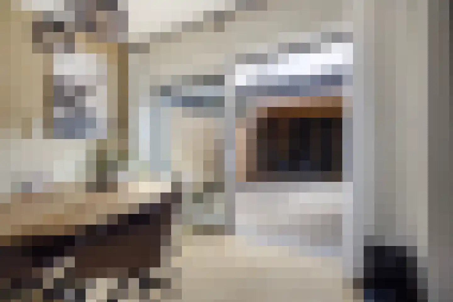 Fazant 8 Dokkum thumbnail 23