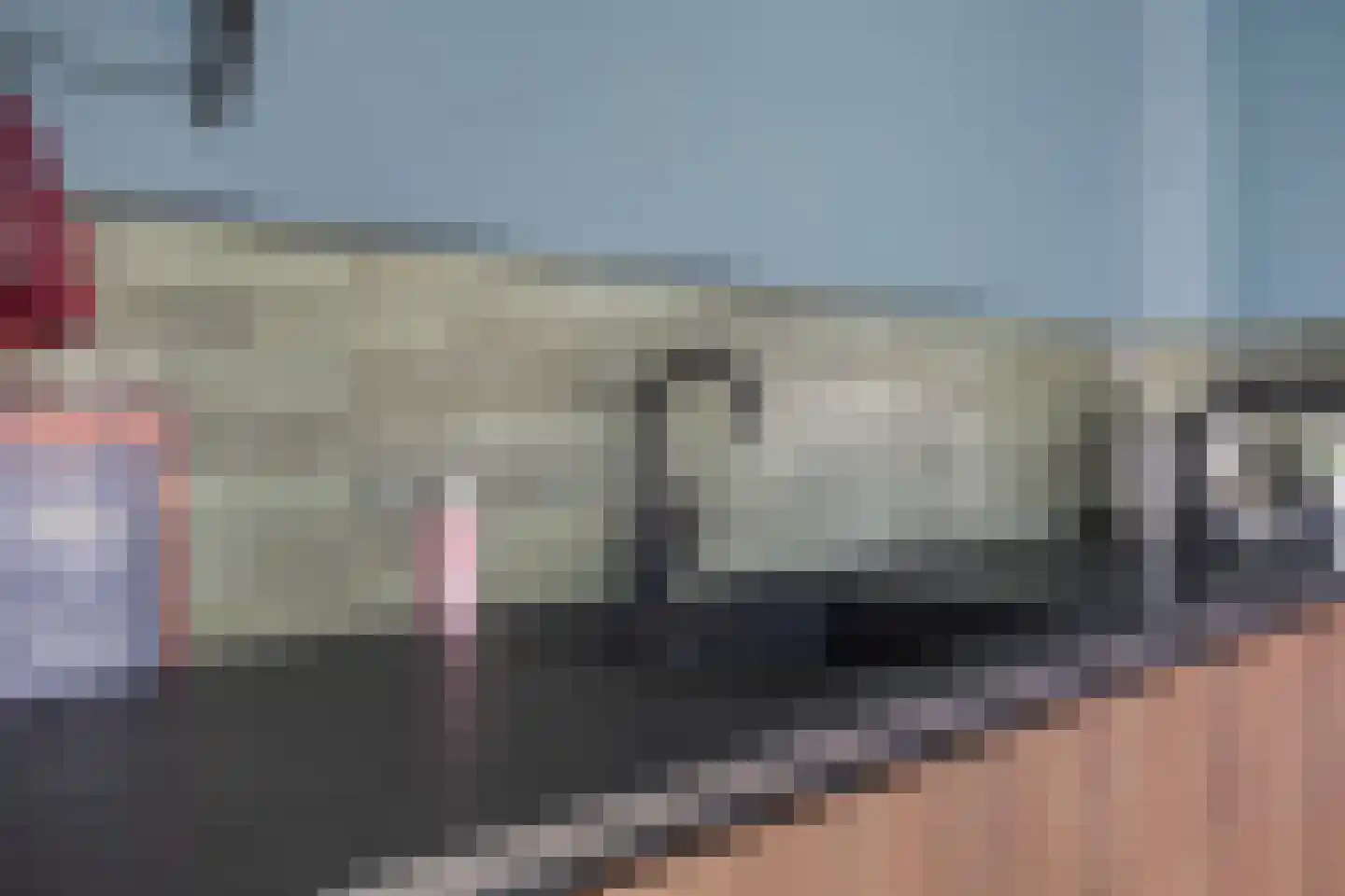 Fazant 8 Dokkum thumbnail 28