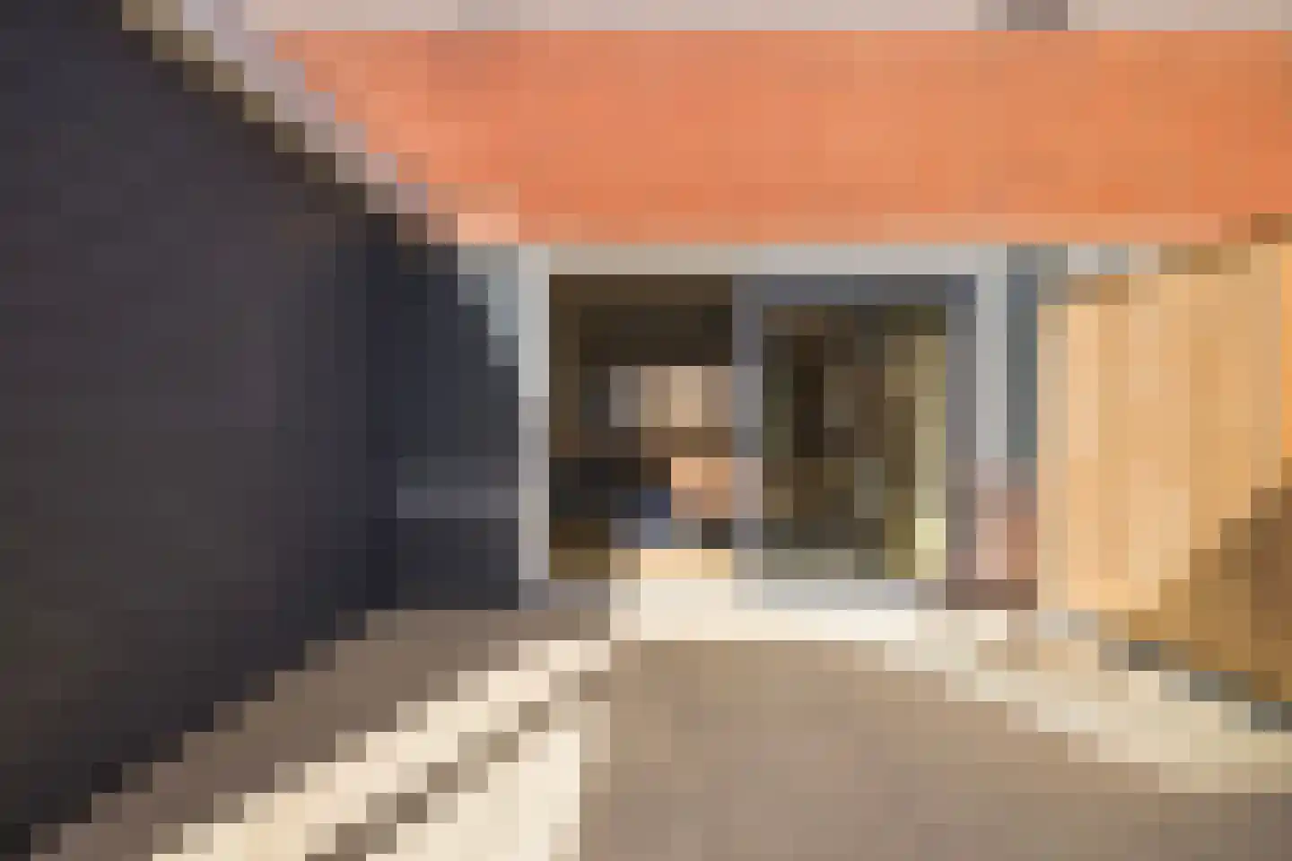 Fazant 8 Dokkum thumbnail 32