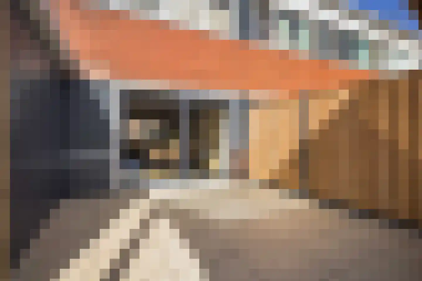 Fazant 8 Dokkum thumbnail 33