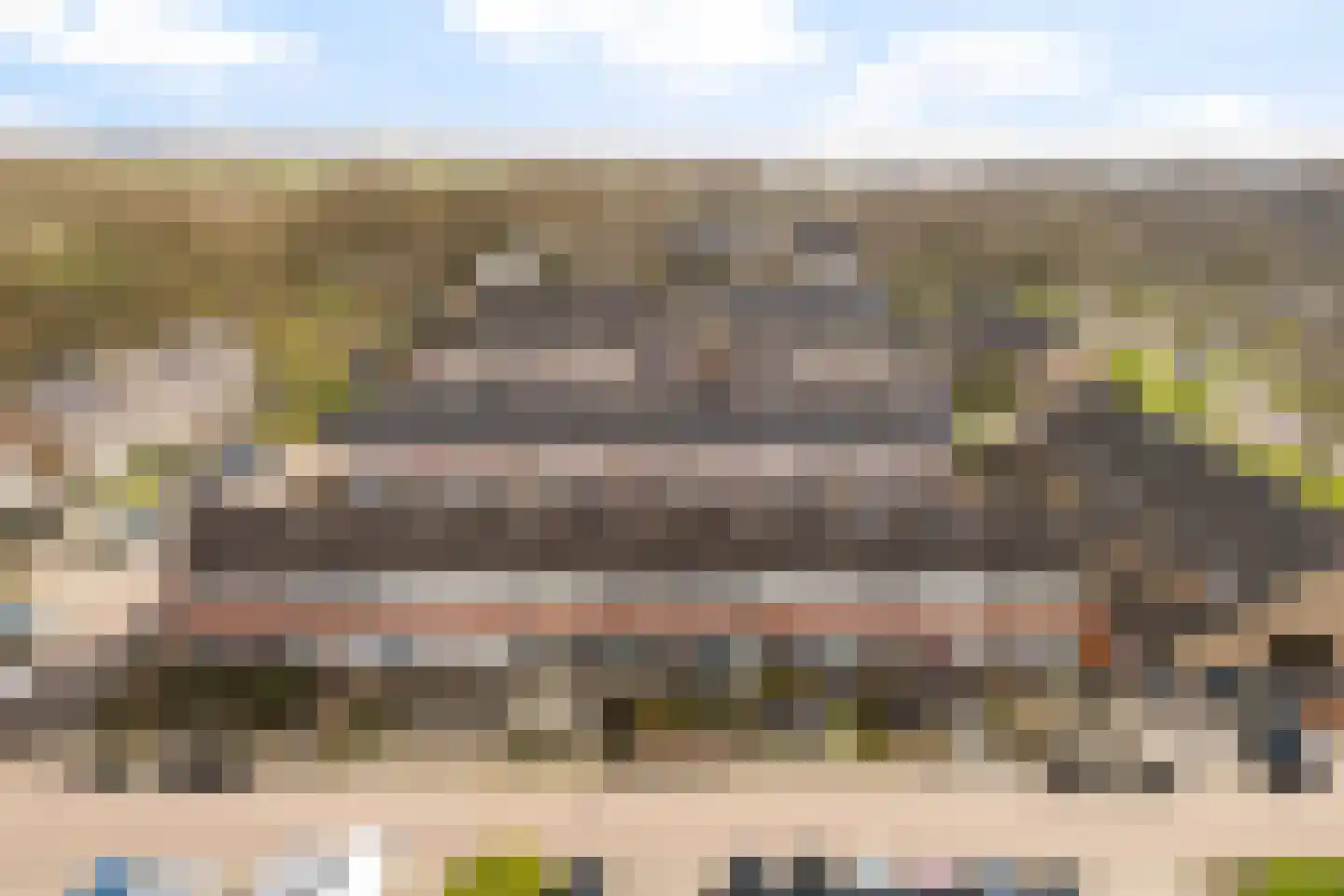 Fazant 8 Dokkum thumbnail 5