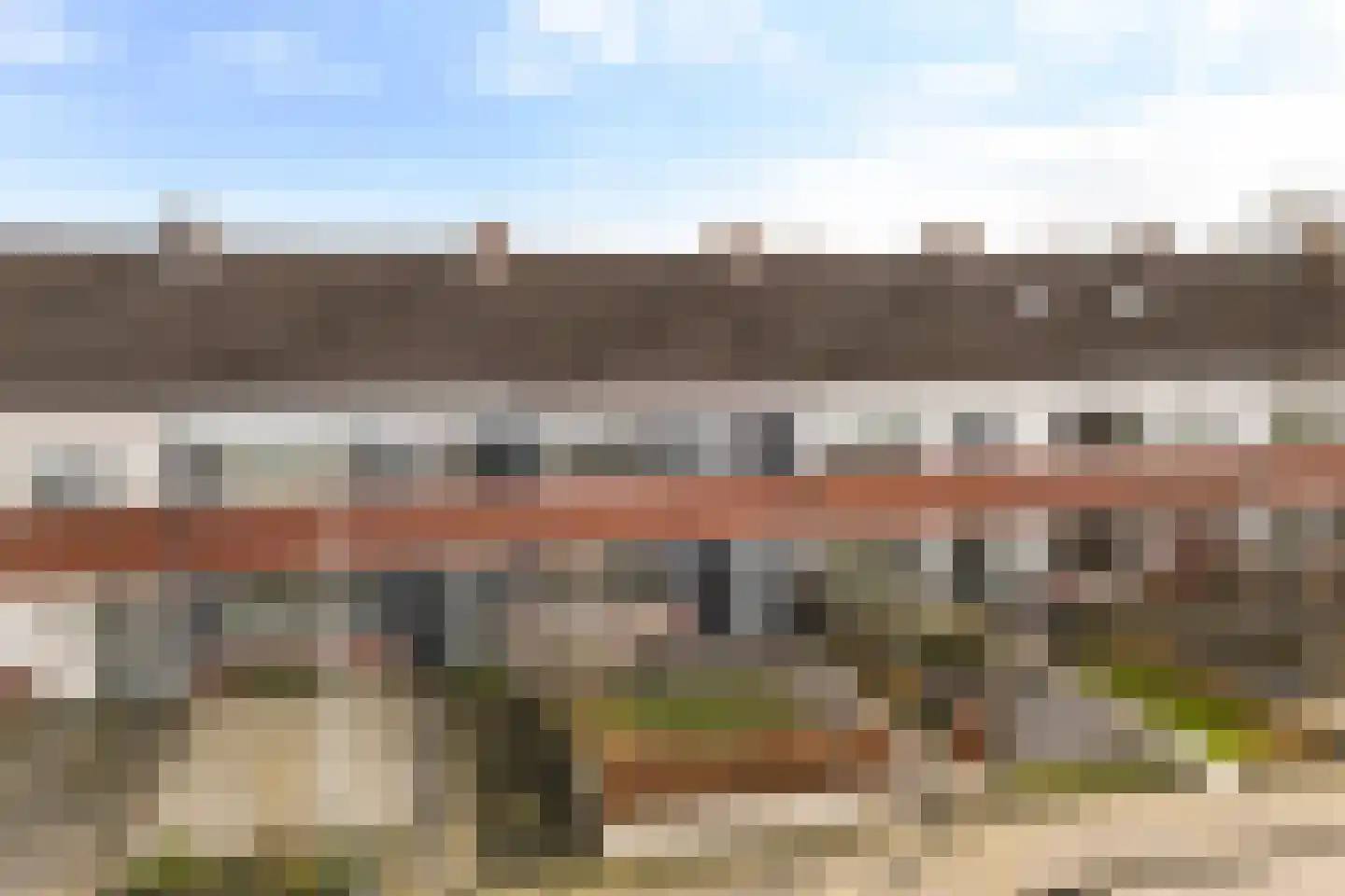 Fazant 8 Dokkum thumbnail 7