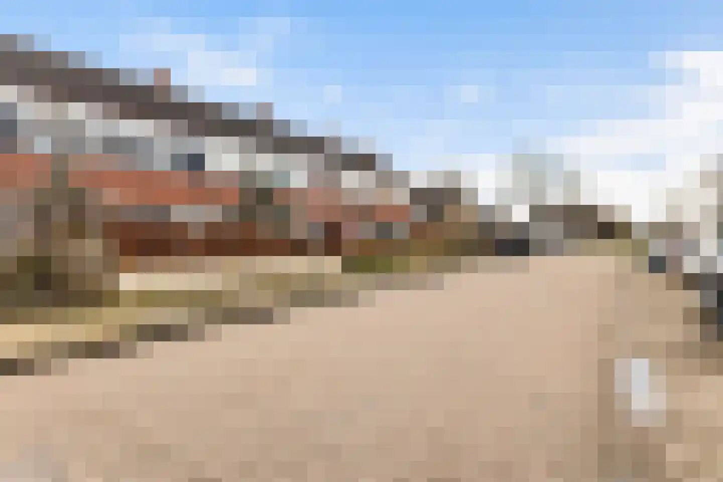 Fazant 8 Dokkum thumbnail 8