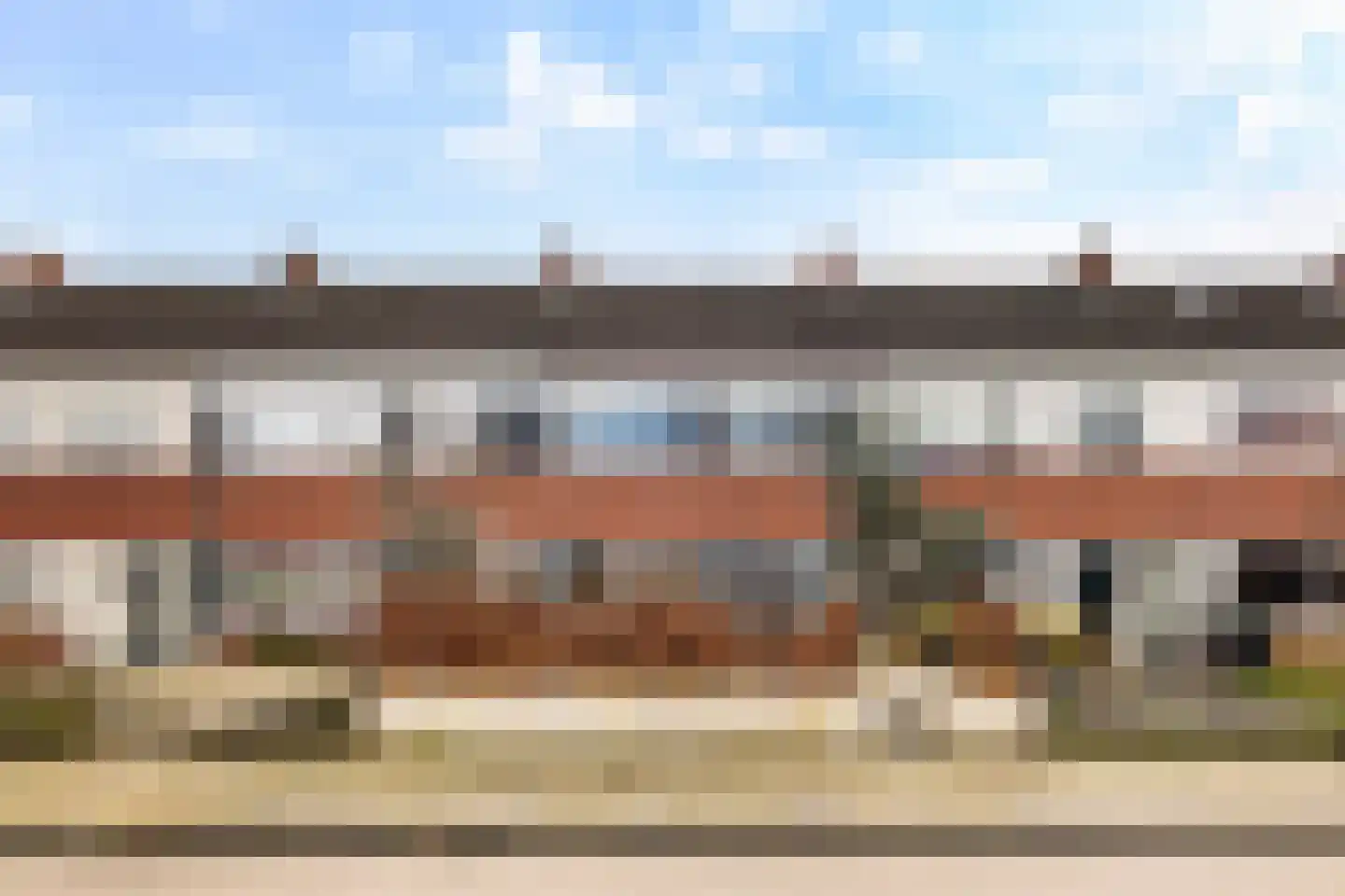 Fazant 8 Dokkum thumbnail 9